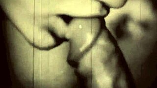 Vintage erotische tekeningen verkennen tijdloze fantasieën.