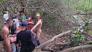 Vad brazil machók pajkoskodnak a nyilvános ösvényen