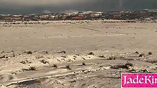 Cizinec šuká kurvu na Amtraku, tak divoké! 😜