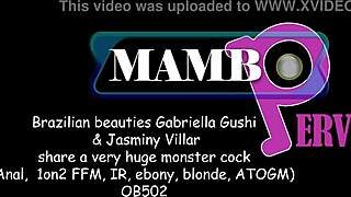 मैं ब्राजीलियन ब्यूटीज गैब्रिएला गूशी को एफएफएम में एनल लेते हुए देखना पसंद करता हूँ!