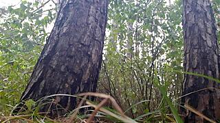 اختبأنا تحت شجرة ومارسنا نيك ليزبي ساخن