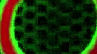 Jeg elsker lesbiske 69 kys med Mz Dani