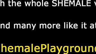 スレンダートラ娘のチンポシコシコソロオナニー