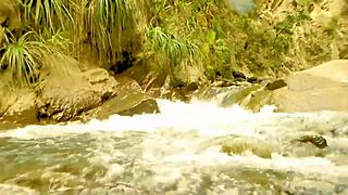 I'm waitin for a alpha male to make me feel woman