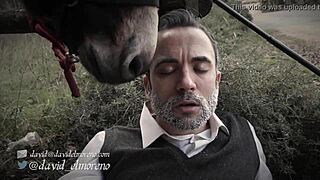 Don Quixote in Spanish European style