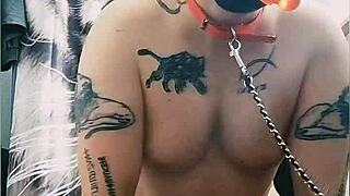 gaywolf dominates mastino grande