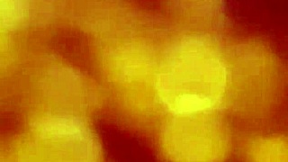 beautiful latina amateur in captivating scene