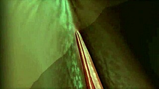 Damian Fucks Coco's Ebony Ass Roughly