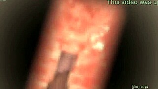 Ro Ropy4 Fgo Mash Costume