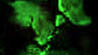 vintage erotic drawings bring back steamy memories! 🖼️