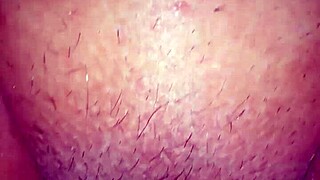 gordinha delicia shows off her big ass in casual fun