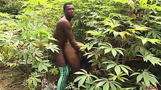 Why does Softkind sneak stepmom for a bush creampie?