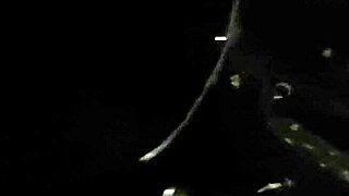 Desconocido mamando polla en road trip