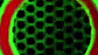 Big butts Marcy Diamond dominate in wild lesbian ass play