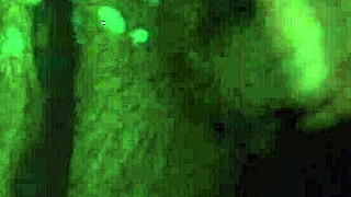 he strokes his massive cock in a solo session