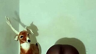 Exploring zodiac patience in various poses