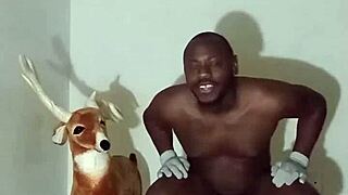 Exploring zodiac patience in various poses