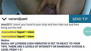 Engaging in a casual web chat conversation