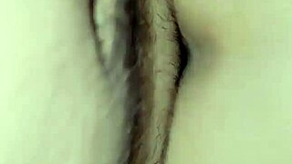 Latina Wife Bent Over for Deep Anal Pounding