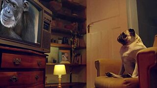 benefit monkey eden ivy relaxes alone in bed with vibrator