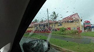 Did Anne Cristalli suck Lukas Zaad's monster cock in the orgy?