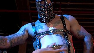 Tory Lane Demented Anal Whore