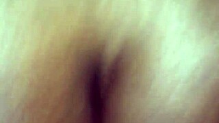 Trade fucking this ass in Tampa with a shemale crossdresser