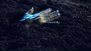 Hot foursome sex at the graveyard with american milf