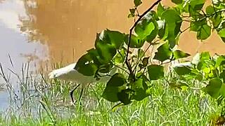 A Couple's Park Walk Turns Intimate