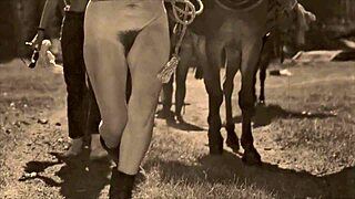 dark lantern entertainment presents from my secret life the erotic confessions of a victorian english gentleman