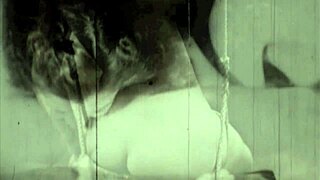 Retro vintage antique illustration