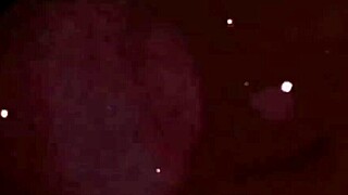 Retro vintage antique illustration