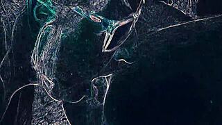 i licked her ass in the club while dancing