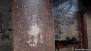 Slim Long-Legged Babe Endures Intense Slave Training Session