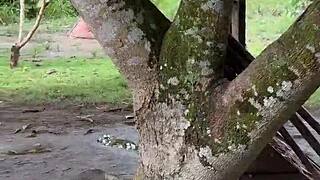 neighbor girl gets milk instead of lemons