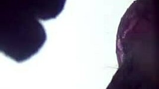 ミルフィカーラがワークアウト服を試してアス崇拝とおしっこフェティシ