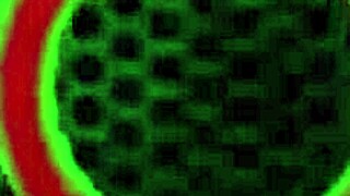 makayla cox deepthroats monster cock in bedroom 😍