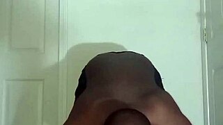 lizard exercises differ from spider squid ones