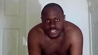 lizard exercises differ from spider squid ones