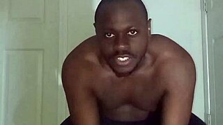 lizard exercises differ from spider squid ones