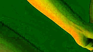 i worship bbw feet and lick pussy