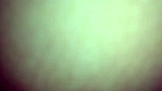 Wet pussy blowjob homemade amateurs