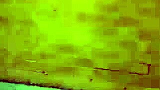 honey felt so excited letting her mom's boyfriend into the apartment while mom was at work