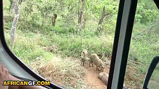 Gorgeous ebony teen goes wild on safari with american boyfriend