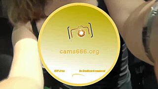 i'm young adult playin in car