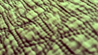 Latina moves nicely in bed!