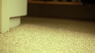 ashley stone aaliyah love and jenna j ross have lesbian sex after dance 😏