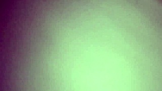 Amateur couple's homemade intimate moments