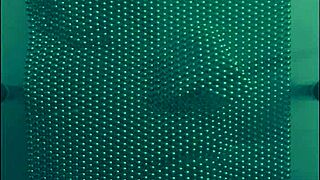 I Scream Harsh Noise During A Pop Song In California