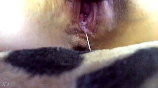 Home alone, the young adult enjoys some solo playtime